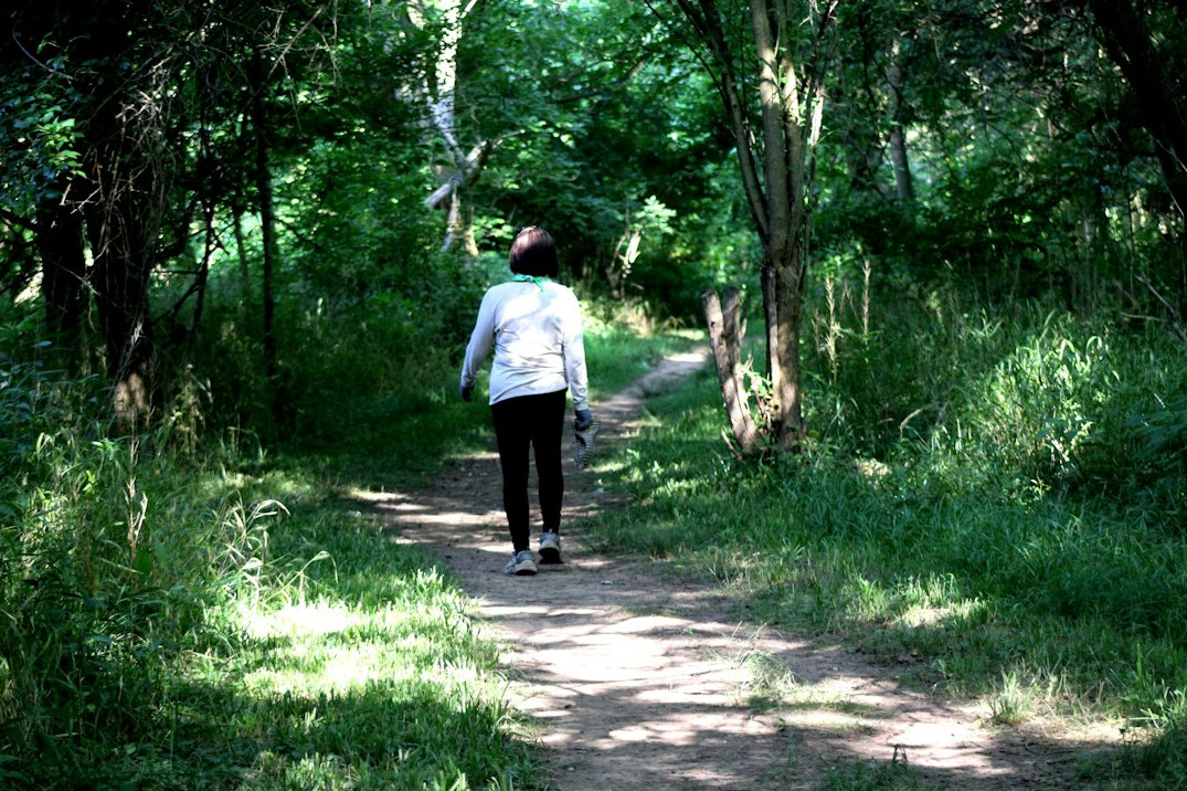 person walking in nature